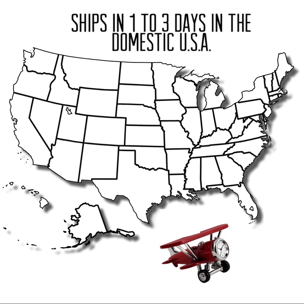 ✈️ Domestic Priority Mail ✈️